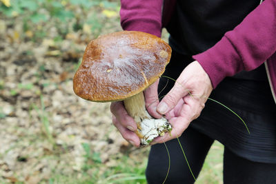 Midsection of woman holding mushroom