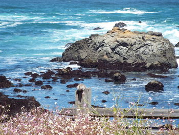 High angle view of rocks at sea shore