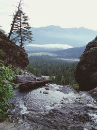 Scenic view of river in forest against sky