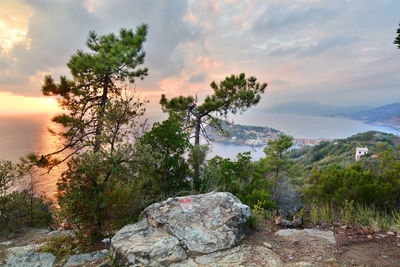 Trees and rocks by sea against sky during sunset