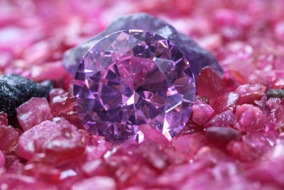 Close-up of pink leaf on rock