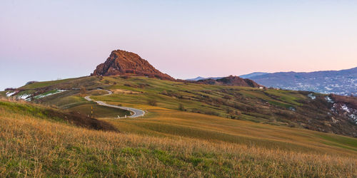 Scenic view of field against clear sky