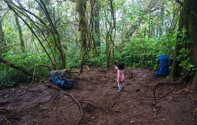 Rear view of people in forest