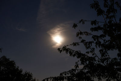 Low angle view of silhouette tree against sky