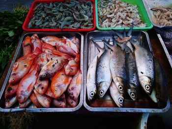 High angle view of seafood on barbecue grill