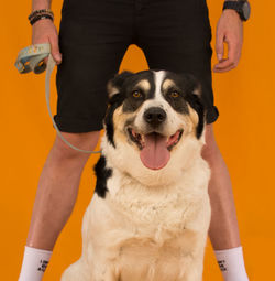 Midsection of man with dog standing against wall