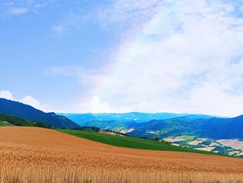 Scenic view of agricultural field against sky