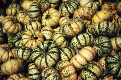 Full frame shot of pumpkins for sale at market