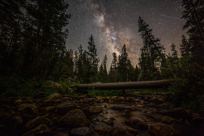 Scenic view of forest against sky at night