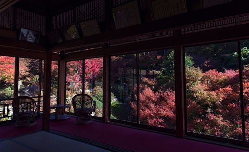 Trees seen through glass window of building