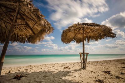 Silhouette of palm trees on beach