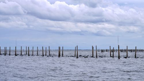 Wooden posts in sea against sky