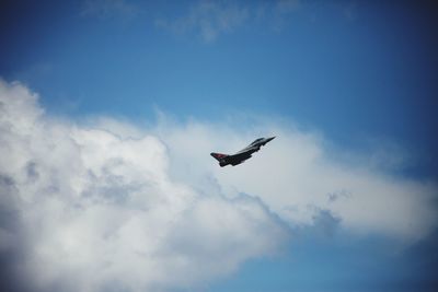 Low angle view of bird flying in sky