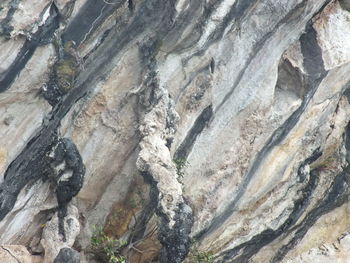 Full frame shot of rock formation