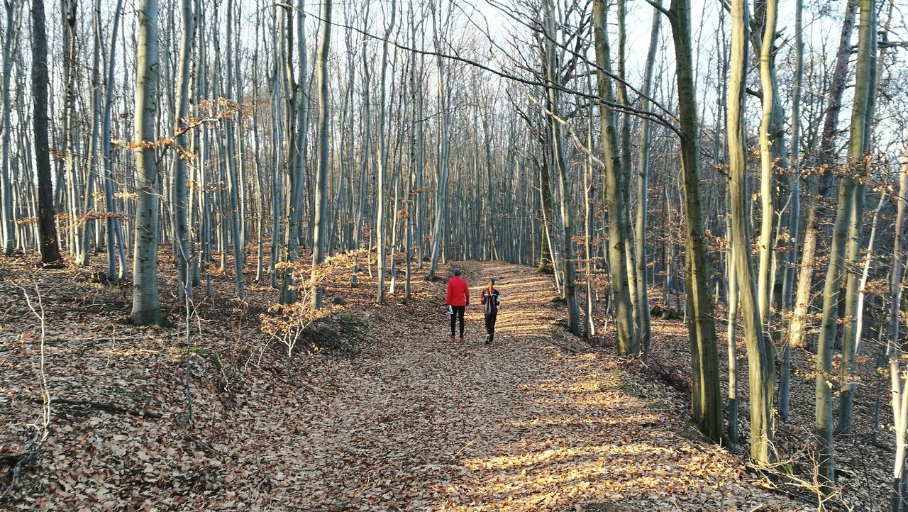 tree, real people, nature, lifestyles, full length, walking, outdoors, leisure activity, one person, day, beauty in nature, forest, cold temperature, men, winter, pets, snow, bamboo grove, mammal, people, adult