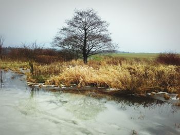 Scenic view of landscape against clear sky