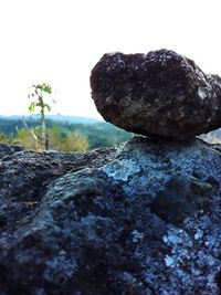 Close-up of stones on rock against clear sky