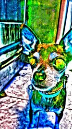 Close-up of tree against blue sky