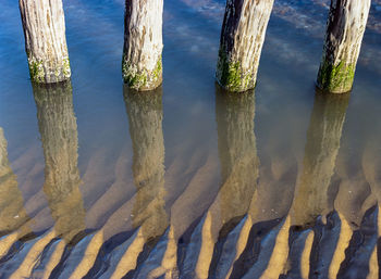 High angle view of trees