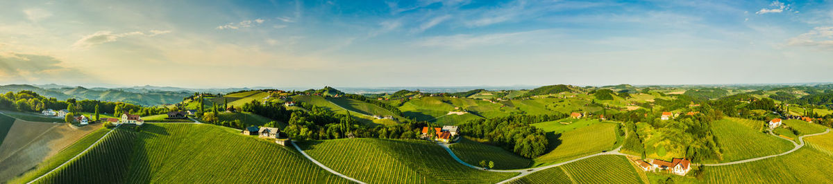 Panoramic view of agricultural field against sky. austrian vineyards
