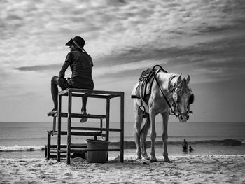 View of horse on beach