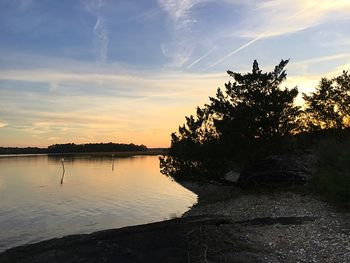 Silhouette tree by lake against sky during sunset