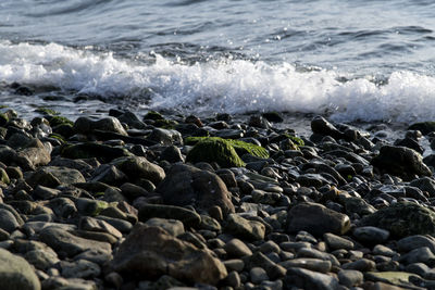 Rocks on beach