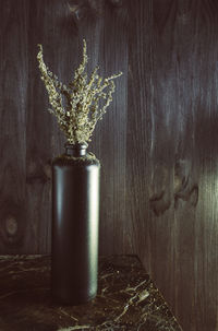 Plant in vase on table against wooden wall