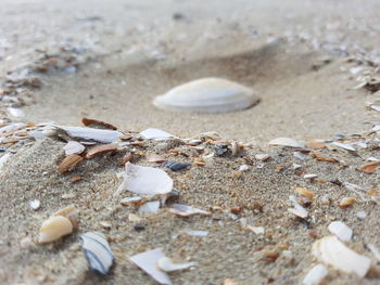 High angle view of sand on beach