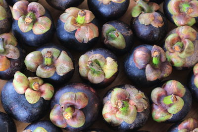 Full frame shot of fruits for sale in market