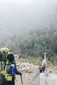 People on road amidst trees in forest
