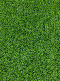 Full frame shot of soccer field
