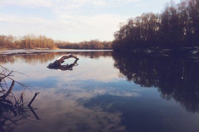 Reflection of trees in calm lake