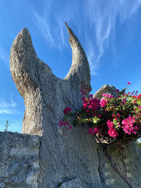 Low angle view of flowering plant against sky