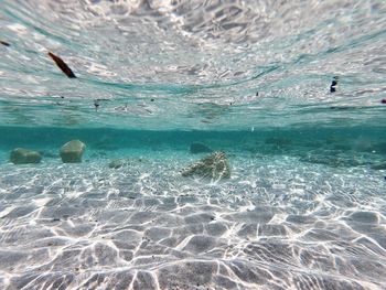 View of sea underwater. sardinia, italy