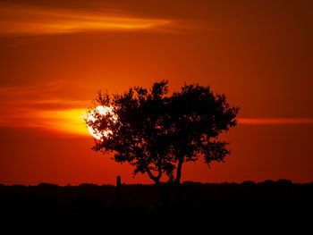 Silhouette tree on field against romantic sky at sunset