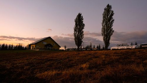 House on field against sky during sunset