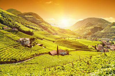 Scenic view of agricultural field against sky during sunset