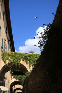 Low angle view of plants by building against sky