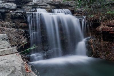 Scenic view of waterfall in forest