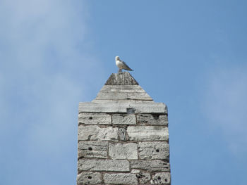Low angle view of seagull perching on obelisk against blue sky