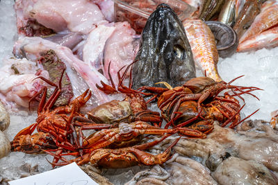 Full frame shot of seafood
