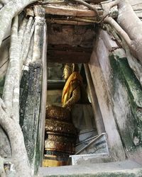 Low angle view of buddha statue