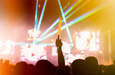 Crowd at music concert