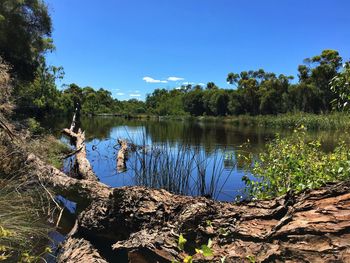 Scenic view of lake against blue sky