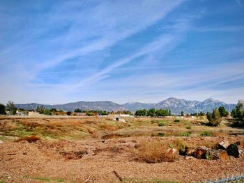 Scenic view of field against sky