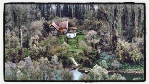 Scenic view of river in forest