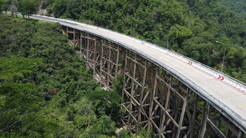 Bridge amidst trees in forest