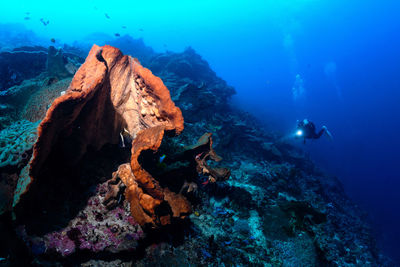 Rock formation in sea