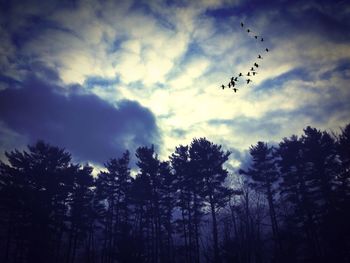 Low angle view of silhouette birds flying against cloudy sky
